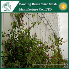 Climbing plant support stainless steel mesh fence